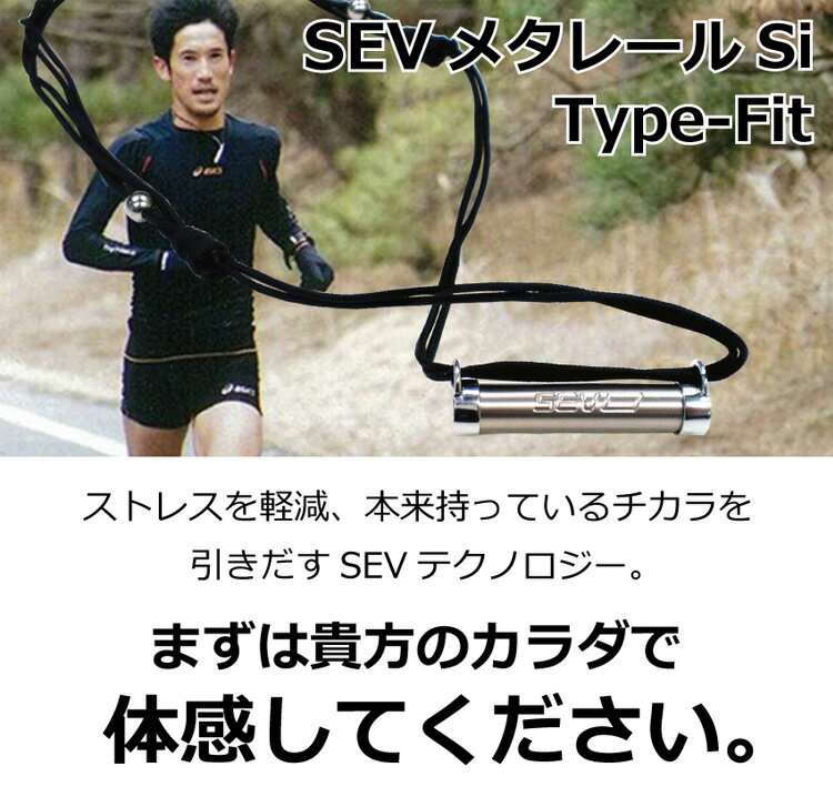 楽天市場】【送料無料】 SEV メタルレール Si Type-Fit 楽天市場】【送料無料】 SEV メタルレール Si Type-Fit