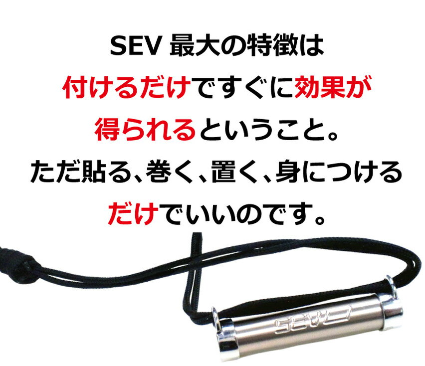 楽天市場】【送料無料】 SEV メタルレール Si Type-Fit 楽天市場】【送料無料】 SEV メタルレール Si Type-Fit
