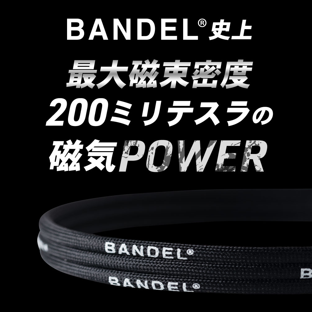 【送料無料 到着後商品レビューで選べる特典】バンデル ヘルスケア フレキシブル ネックレス コンフォート / コンフォート ベネフィット 定番カラー 2021新商品 accessory 磁気ネックレス 医療機器 血行促進 肩こり 効果 有名人 販売店 素材 通販 メンズ/レディース/送料無料