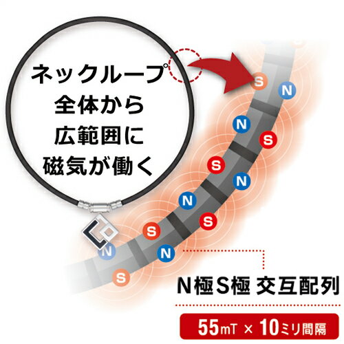 送料無料 コラントッテ TAO ネックレス AURA colantotte タオ 磁気ネックレス アウラ/宇野昌磨選手、菊池涼介選手、谷河枝里子選手も愛用 モデル