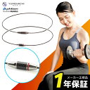 phiten RAKUWAネックレス EXTREME カーボン ファイテン ネックレス RAKUWA ラクワ メタックス アスリート メンズ レディース スポー...