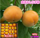 【楽ギフ_のし】【がんばろう!福島】お歳暮に最適!!会津みしらず柿 平箱・柿・国産(福島県会津若松市)ギフト/贈答/お歳暮/柿/カキ/渋柿/福島/会津/送料込み...