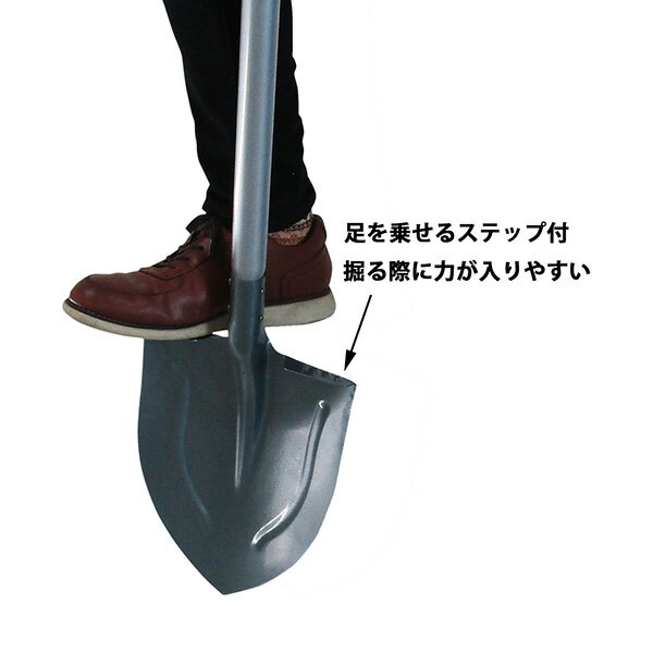 ���̥ѥ���������٥� ���� �ϥ��֥�å� 4969968331341