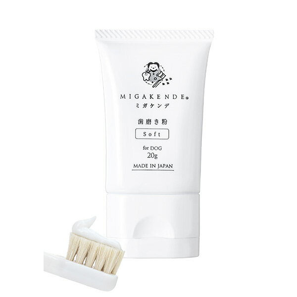 mt designs �ߥ�����ǻ��᤭ʴ for DOG 20g