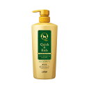 ライオンペット Quick & Richトリートメントインシャンプー愛犬用フォレストグリーンポンプタイプ(4)