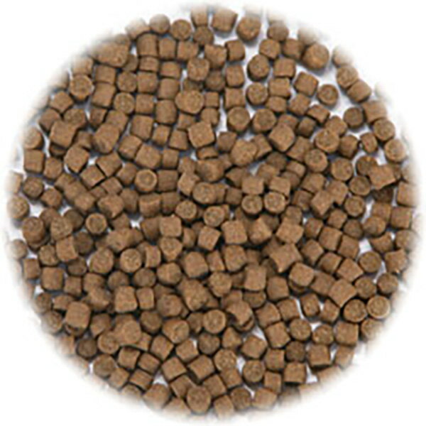 �������� ������ɥ���ա��� 30g 575