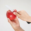 【あす楽】【メール便送料無料】貝印 セレクト100 フルーツナイフ 000DH3014