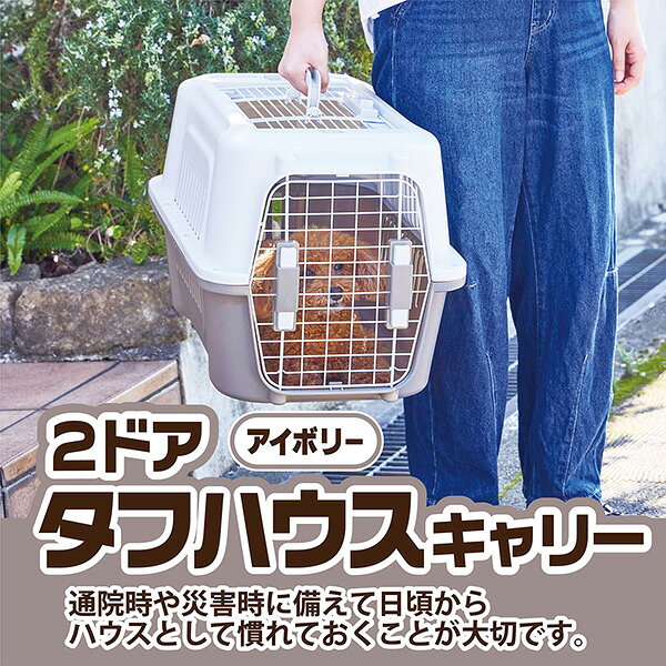 RideOne(ライドワン)の犬猫用キャリー 2ドア タフハウスキャリー アイボリー M W27591 ペット住関連用品 キャリー｜アングル3