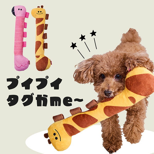 サンプル画像3