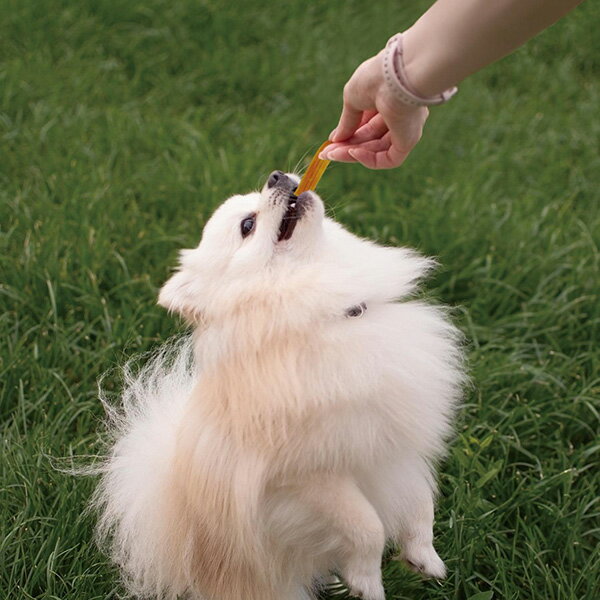 �ۥ磻�ǥ�� Chewell �����ߥǥ��åץС�100g 82849 ���ѥ��ʥå�