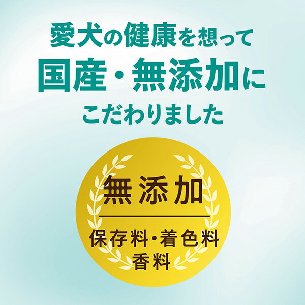 ���塼�ǥ�� ĶĹ�������ߤ������� M-L 5���� ��˫����������̣ ���ѥ��ʥå� ����