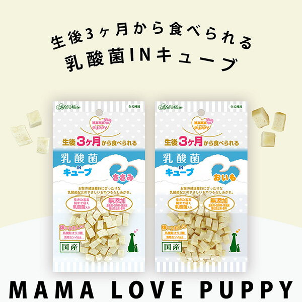 ママラブパピー 乳酸菌INキューブ ささみ 35g 犬用スナック 専門店用スナック