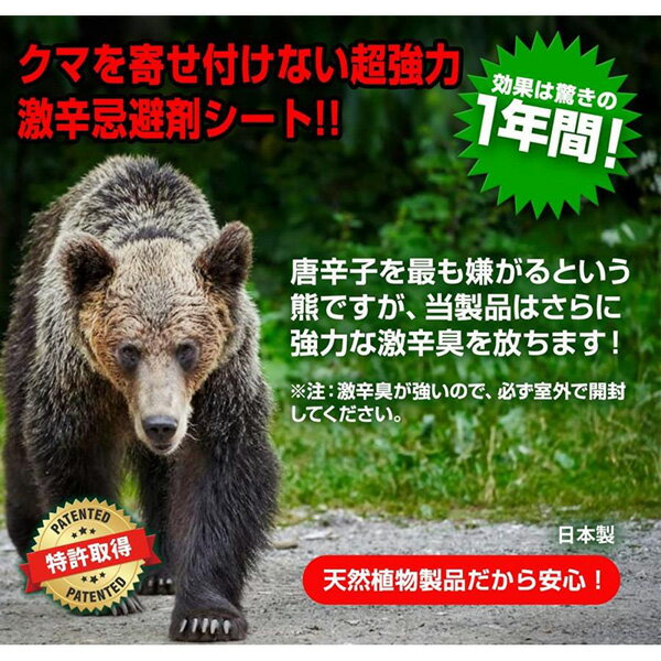 撃退 クマ 3個入 4957798194908