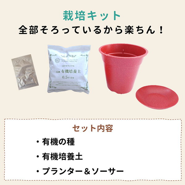 すべてオーガニックな栽培キット ミニトマト 4560496708638