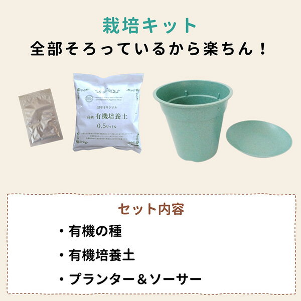 ���٤ƥ������˥å��ʺ��ݥ��å� �Ĥ��� 4560496709901