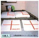 イチネンTASCO (タスコ) 吸水バック (アクアボーイ)10L 10枚入 TA912SD-2