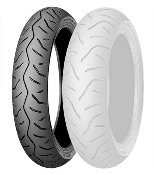 DUNLOP（ダンロップ） GPR100FM （FRONT） 120/70R15M/C 56H TL 313515