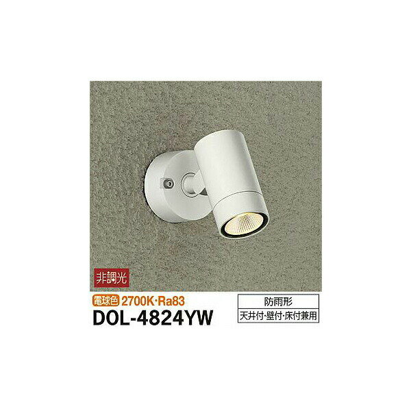 【メーカー直送】大光電機 アウトドアスポット DOL-4824YW