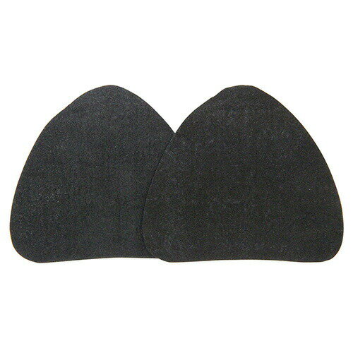 【メール便送料無料】E-Value（イーバリュー） E-Value替えフィルター2枚入り EM-4ヨウカッセイタン 4977292387941