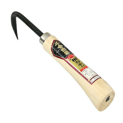 千吉金賞 根カキ 1ポン 4977292622189