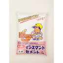 MATERAN(トーヨーマテラン) インスタントセメント 白色 4KG 5125(4)
