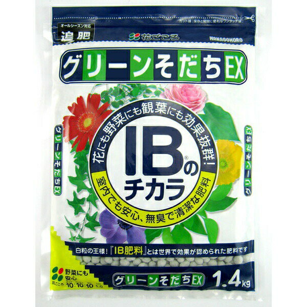 Ԃ:IB̃`JO[EX 1.4kg 4977445054003 엿  CeA