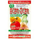 大和 尻ぐされ・芯ぐされが気になる野菜に 600g 4907403254060