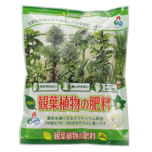 朝日工業:観葉植物の肥料 450G 45132720