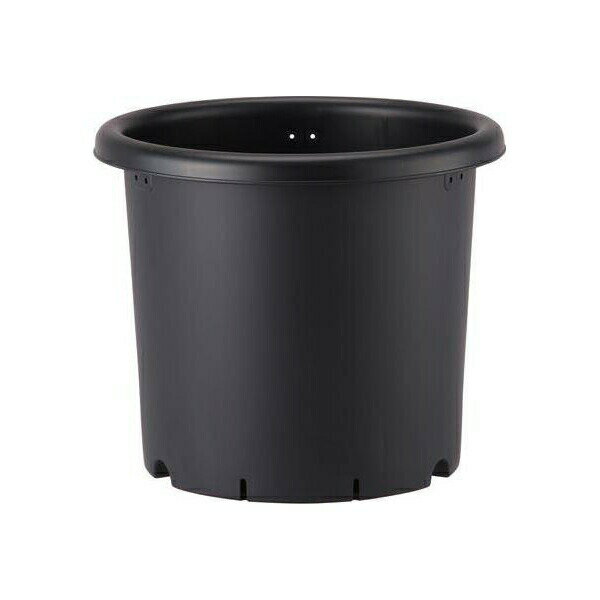 RideOneʥ饤ɥˤ㤨֥åץ륦 ȭ10 ֥å 4905980979086 ץȭ ơפβǤʤ647ߤˤʤޤ