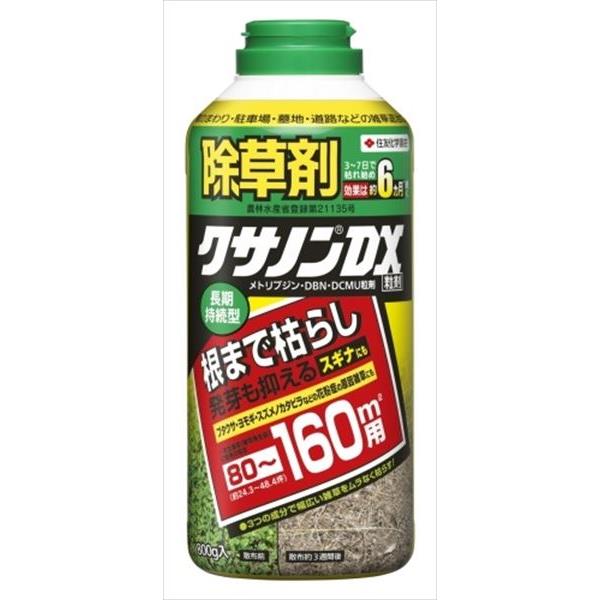 ͧر ΥEXγ 800g 4975292601678