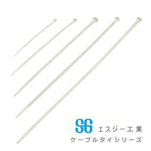 SG SG֥륿 100 SG-100