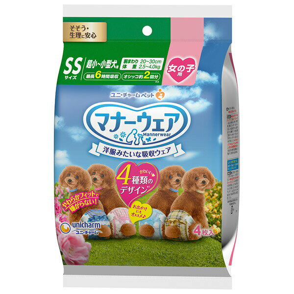 ˡ㡼 ޥʡ λ 4Υǥѥå SS 4 4520699666494