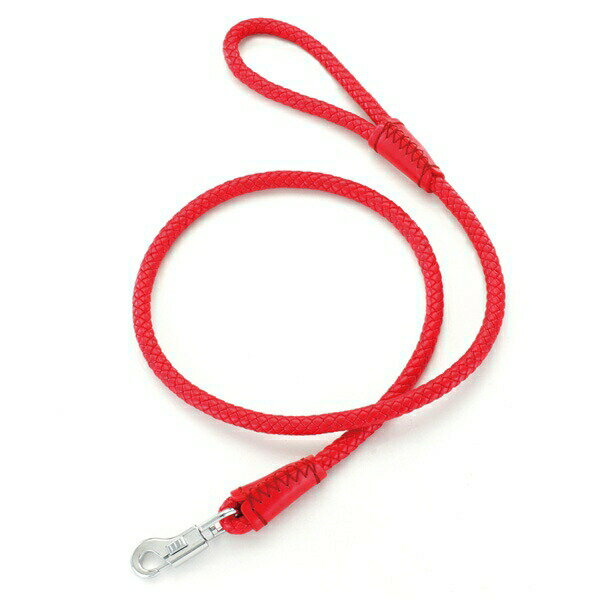 ڥƥ ɥᥤ Maniera ꡼ S å A56991  ɳ ɳ ɳ ꡼    ñ ץ A56991