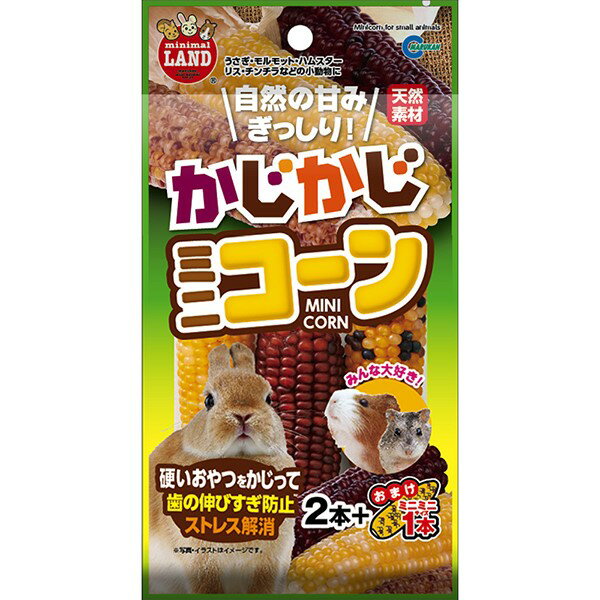 マルカン:かじかじミニコーン 2本+おまけ1本 MR-785 小動物 おやつ 間食 スティック コーン とうもろこし MR-785