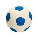 スーパーキャット わんわんサッカー ブルー WN2