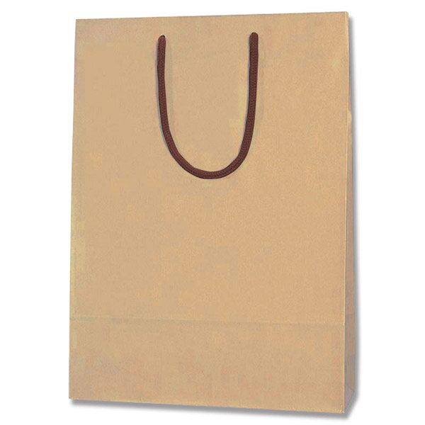 HEIKO（ヘイコー） 手提げ紙袋 カラーチャームバッグ 2才 クラフト 10枚入り 005310116