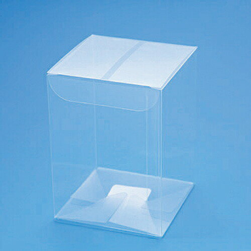 HEIKO（ヘイコー） PVC クリスタルボックス W-2 10枚入り