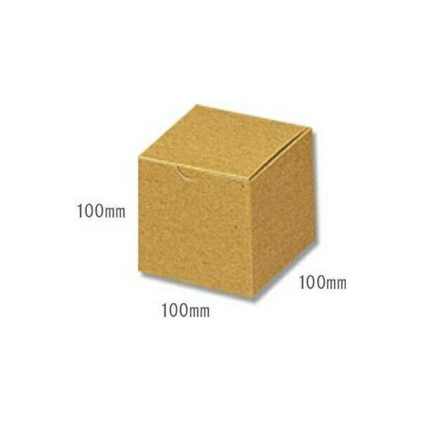 HEIKO（ヘイコー）:箱 ナチュラルボックス Z-1 006200110 ナチュラル ボックス BOX 箱 クラフト HEIKO 10枚 006200110 Eフルート段ボール 丈夫 素朴 実用的 梱包 ギフト 収納