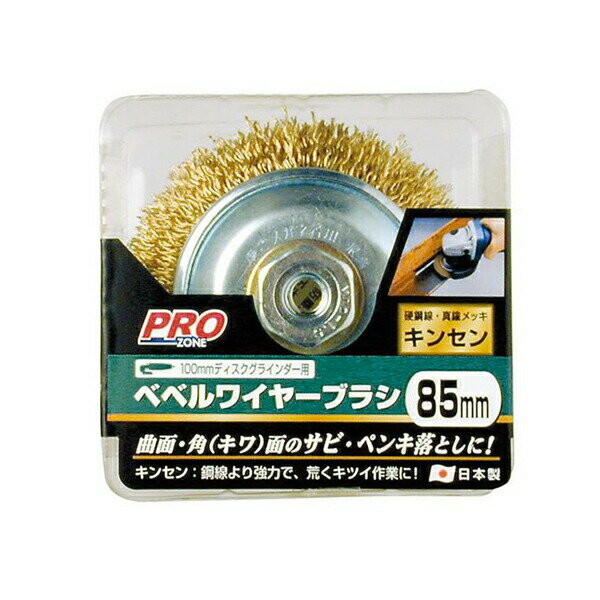 高儀 PROZONE べベルワイヤーブラシキンセン 4907052553910