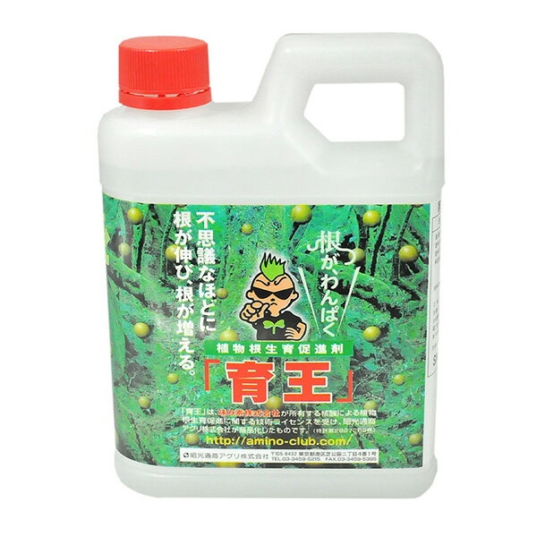 昭光通商:昭光 植物根生育促進剤 育王 1kg