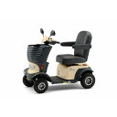 【地域制限有】【メーカー直送】セリオ 遊歩スマイルα SH10(4)
