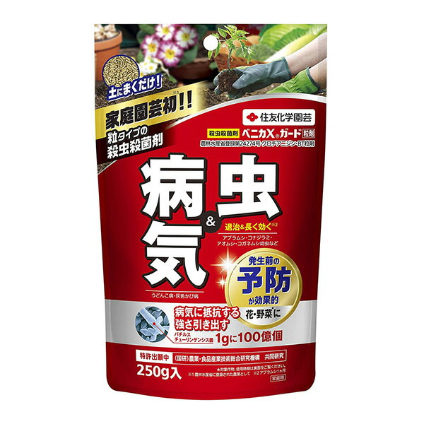 住友化学園芸 ベニカXガード粒剤 250g 4975292603917