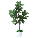 【メーカー直送】ストア・エキスプレス ゴムの木 H150cm (人工樹木 フェイクグリーン 人工観葉植物) 61-655-55-4(4)