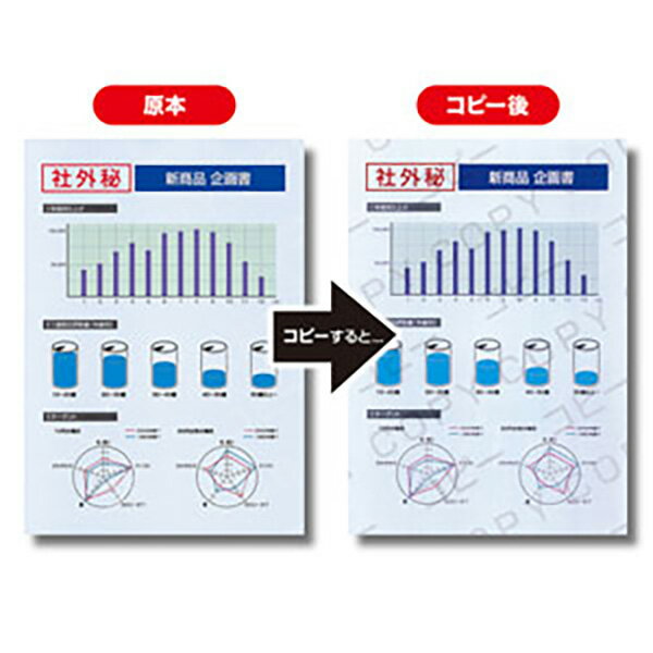 サンワサプライ マルチタイプコピー偽造防止用紙(B5) JP-MTCBB5N