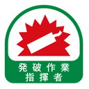 【メール便送料無料】トーヨーセフティー ヘルメット用シール NO.68-030 4962087102939