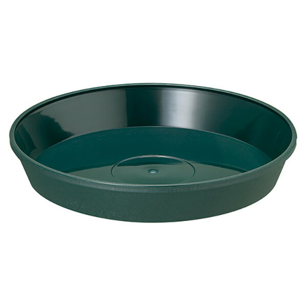 RideOneʥ饤ɥˤ㤨֡ڥ᡼̵¥ץ饹å ե쥰顼ץ졼 18 ꡼ 4903266722623  ݡפβǤʤ498ߤˤʤޤ