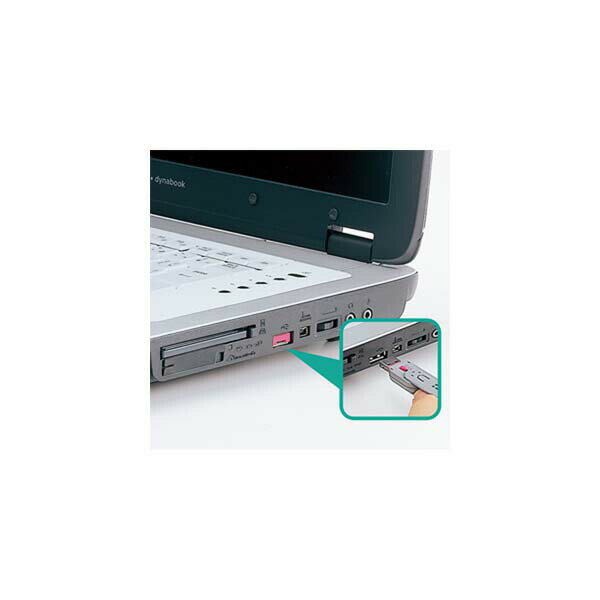 サンワサプライ USBコネクタ取付けセキュリティ SL-46-R USBコネクタ取付けセキュリティ SL-46-R
