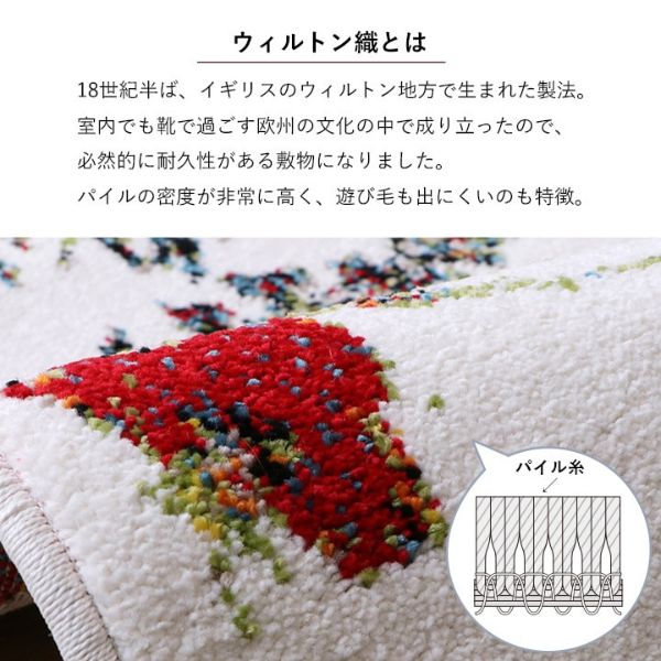 イケヒコ・コーポレーション ウィルトン織 玄関マット ボタニカル トルコ製 [2]