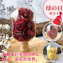 天球bottle flowers プリザーブドフラワー ラッピング済 遅れてごめんね 母の日 プレゼント 贈り物 贈答用 ギフト フラワー インテリア