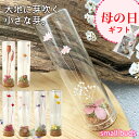 プリザーブドフラワー small buds ラッピング済 遅れてごめんね 母の日 プレゼント 贈り物 贈答用 ギフト フラワー インテリア